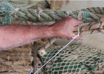 CISOA pesca, oltre al danno la beffa