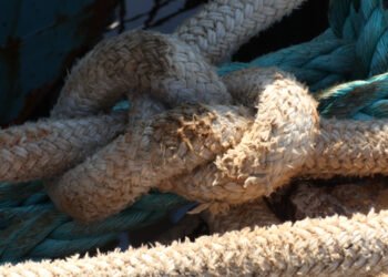 Caro Energia, Casanova e Grant, Ue ignora settore pesca