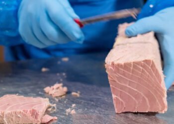 Caro prezzi, gli aumenti invisibili nel settore delle conserve ittiche