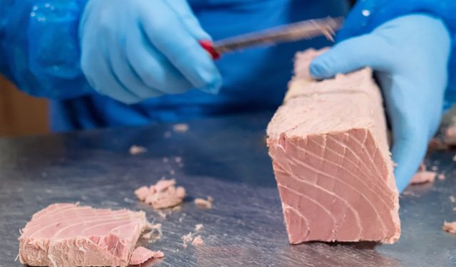 Caro prezzi, gli aumenti invisibili nel settore delle conserve ittiche