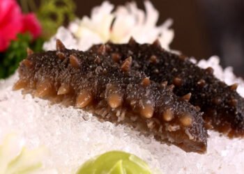 I cetrioli di mare tropicali a rischio di estinzione