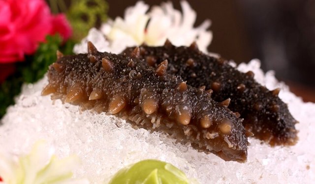 I cetrioli di mare tropicali a rischio di estinzione