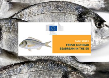 Nuovo studio EUMOFA: l'orata fresca nell'UE