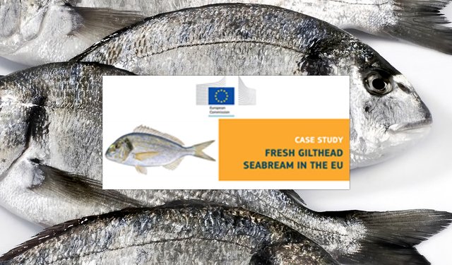 Nuovo studio EUMOFA: l'orata fresca nell'UE