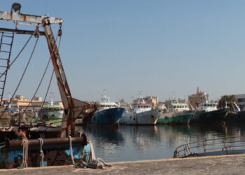 Pesca: il Parlamento Europeo ferma la commissione