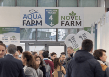 Microalghe: il futuro del cibo e di molto altro