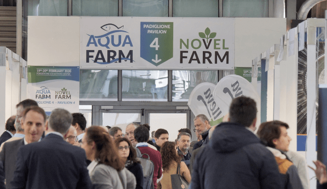 Microalghe: il futuro del cibo e di molto altro