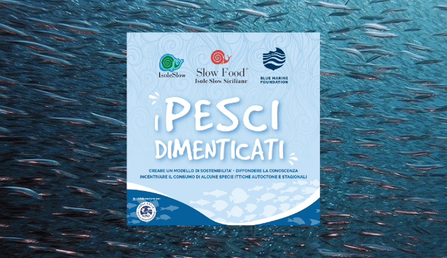 Slow Food Isole Slow lancia “I Pesci Dimenticati”: progetto per valorizzare il pescato eoliano nei mesi invernali