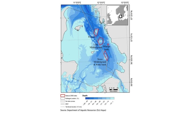 Protezione rafforzata per 11 siti vulnerabili nel Mare del Nord