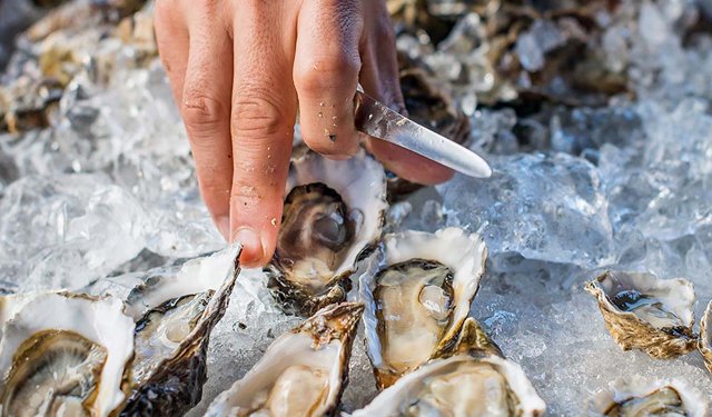 Riprende il commercio bilaterale di molluschi tra Stati Uniti e UE