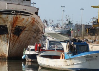 Pesca nel Mediterraneo, senza garanzie certe manca il futuro 
