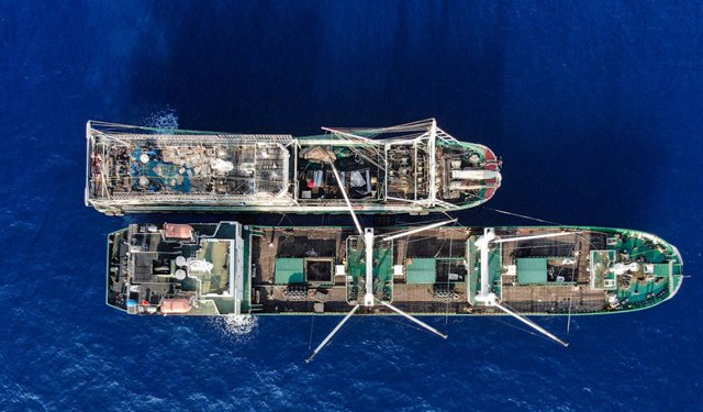 Trasbordo. FAO e ONG premono su linee guida