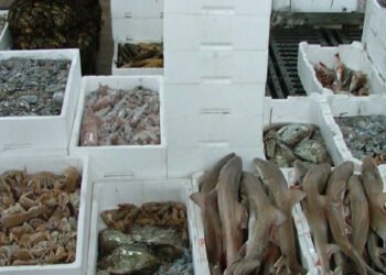 Con l’85% delle merci che viaggia su strada il caro prezzi minaccia le catene di approvvigionamento