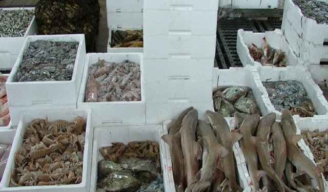 Con l’85% delle merci che viaggia su strada il caro prezzi minaccia le catene di approvvigionamento