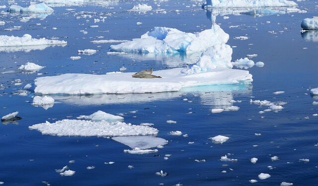 Vertice One Ocean: continuo supporto per l'Oceano Meridionale