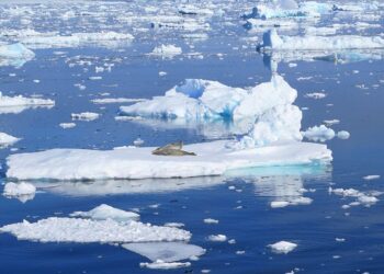 Vertice One Ocean: continuo supporto per l'Oceano Meridionale