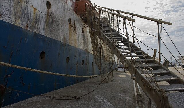 Al Porto di Vigo il valore del pesce fresco sale di quasi il 15%