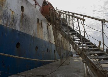 Al Porto di Vigo il valore del pesce fresco sale di quasi il 15%