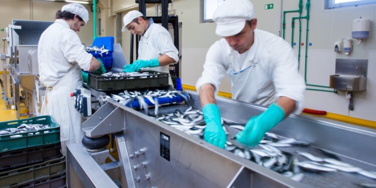 Pesca ed acquacoltura: rinnovato il CCNL Unci, Unci agroalimentare e Confsal Pesca per i lavoratori del comparto ittico