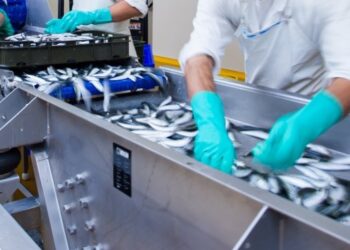 Pesca ed acquacoltura: rinnovato il CCNL Unci, Unci agroalimentare e Confsal Pesca per i lavoratori del comparto ittico