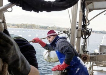 FAO. Pescare pensando al futuro nel Mediterraneo