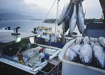 Flotta tonniera spagnola, prima al mondo a gestire progetto di telemedicina a bordo