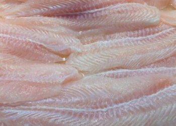 Guerra in Ucraina: problemi con le esportazioni di pangasio dal Vietnam