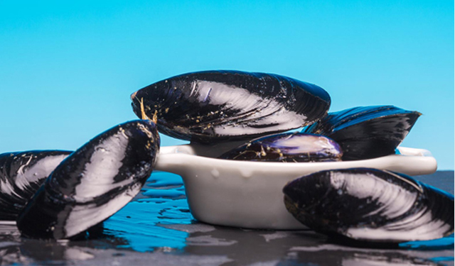 Il Consorzio di Tutela della Cozza di Scardovari DOP entra in Origin Italia