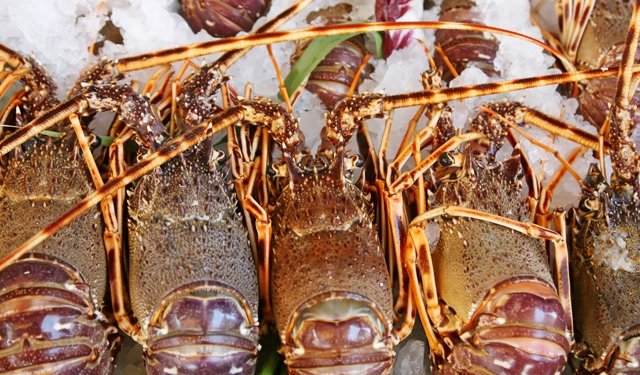 In aumento le esportazioni di prodotti ittici australiani