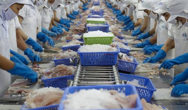 La Cina restituisce carichi di pesce vietnamiti dopo ispezioni anti-Covid