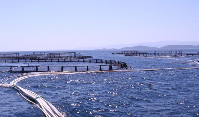 La Turchia si prepara alla forte acellerazione del settore dell'acquacoltura