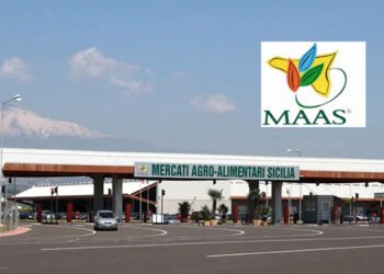 MAAS: bando per la concessione di un box all'interno del mercato ortofrutticolo