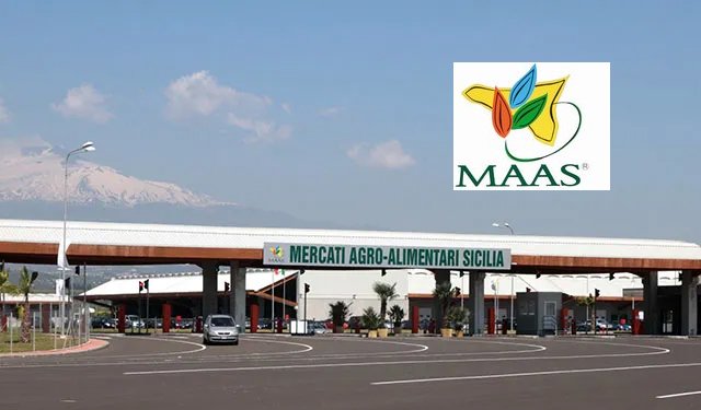 MAAS: bando per la concessione di un box all'interno del mercato ortofrutticolo