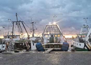 MIPAAF: Al via in CSR a 20 milioni di euro a sostegno delle filiere ittiche