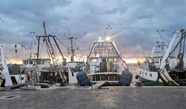 MIPAAF: Al via in CSR a 20 milioni di euro a sostegno delle filiere ittiche