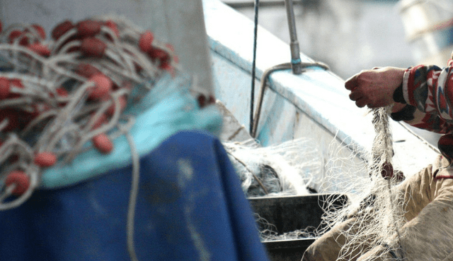 MiPAAF: le ripercussioni del conflitto Russia-Ucraina sul mercato alimentare e l’attuazione dei Piani strategici della PAC al centro del Consiglio Agricoltura Ue