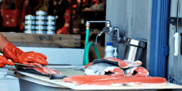 I lavoratori del settore ittico maggiormente a rischio COVID-19