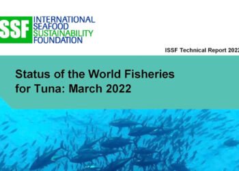 Tonno. Registrato declino degli stock a livello mondiale