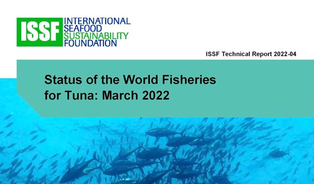 Tonno. Registrato declino degli stock a livello mondiale