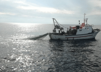 UNCI Agroalimentare aderisce all'EBFA