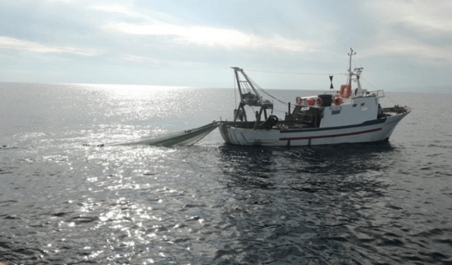 UNCI Agroalimentare aderisce all'EBFA