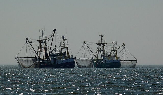 Rappresentanze del settore pesca plaudono per il supporto ministeriale