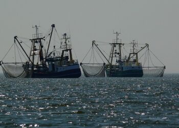 Rappresentanze del settore pesca plaudono per il supporto ministeriale