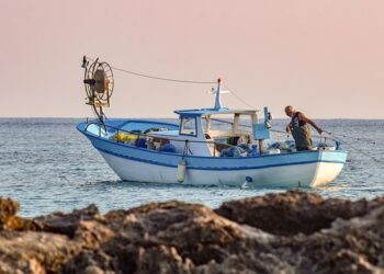AGRIFISH: UE deve cogliere l'opportunità di porre fine alla dipendenza dai combustibili fossili nel settore della pesca
