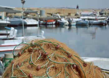 Caro carburante e non solo: il Governo sostiene il comparto ittico