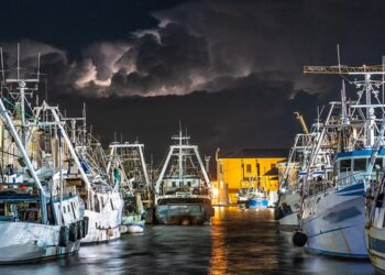 Pesca, Lega: bene utilizzo fondo di crisi, Ue faccia di più per sostenere settore