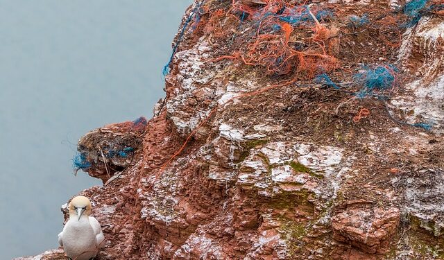 Scozia, nuove misure per la pulizia dai rifiuti marini