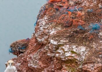 Scozia, nuove misure per la pulizia dai rifiuti marini