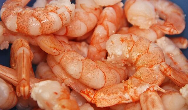 A settembre il primo forum globale sui gamberi