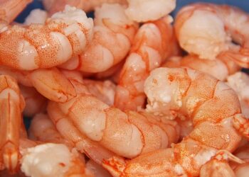 A settembre il primo forum globale sui gamberi